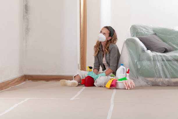 Reliable Mold Removal contractor in Oradell, NJ by WQB Mold Removal
